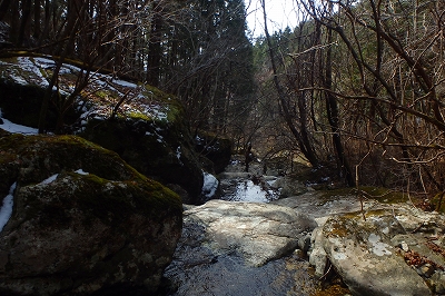 f0193521_984464.jpg