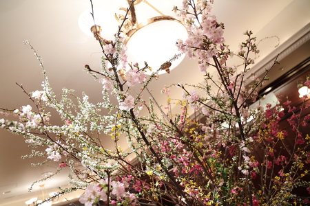 春の装花 桜と春の枝で シェ松尾青山サロン様へ_a0042928_2047577.jpg
