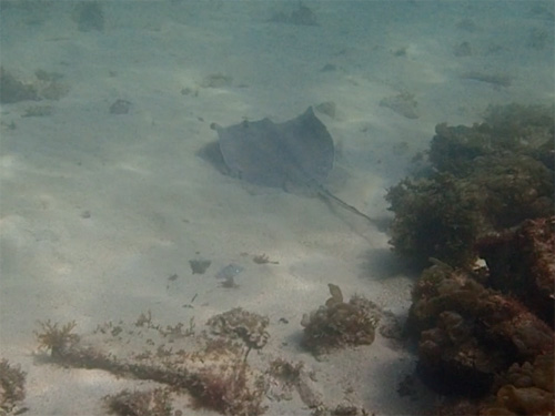 d0164831_14485637.jpg