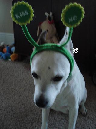 d0269832_07350454.jpeg