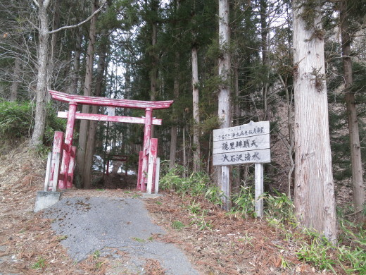 岩泉町の湧水めぐり ~大石沢清水にて テンとの出会い~_b0206037_08493119.jpg