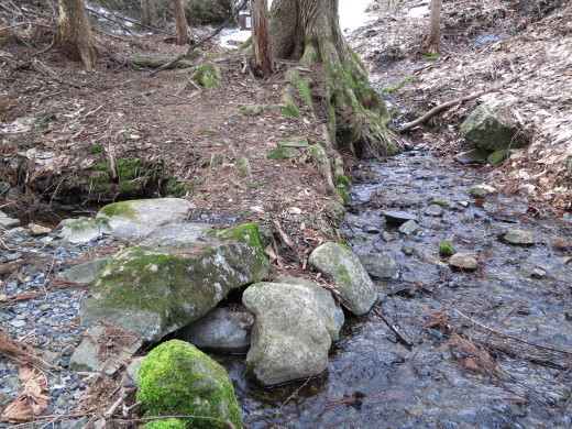 岩泉町の湧水めぐり ~大石沢清水にて テンとの出会い~_b0206037_08495012.jpg