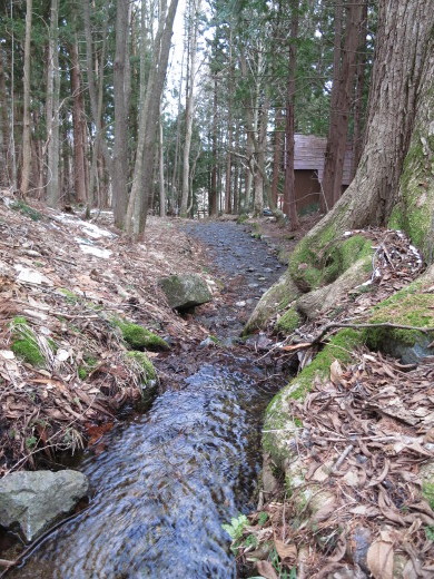 岩泉町の湧水めぐり ~大石沢清水にて テンとの出会い~_b0206037_08500279.jpg