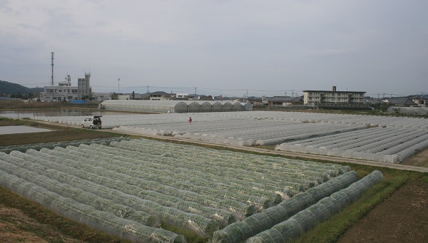 ♪　早い！　今年も超早場米の田植えが始まりました。_f0042737_10134999.jpg