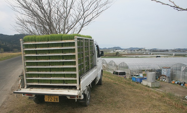 ♪　早い！　今年も超早場米の田植えが始まりました。_f0042737_1017880.jpg