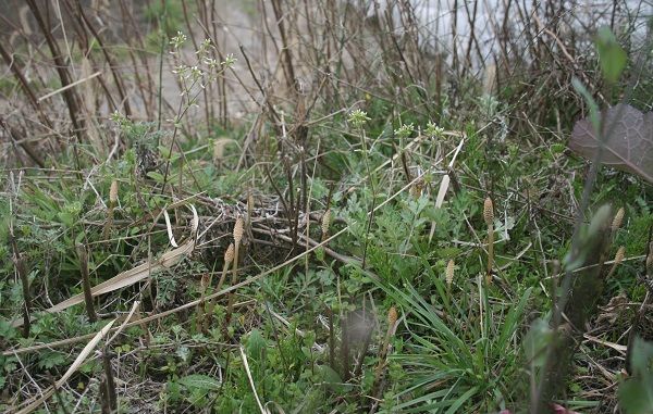 f0042737_10284823.jpg