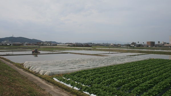 f0042737_1064353.jpg