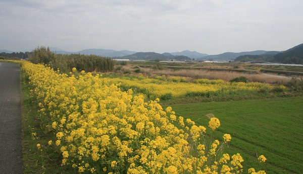f0042737_1084829.jpg