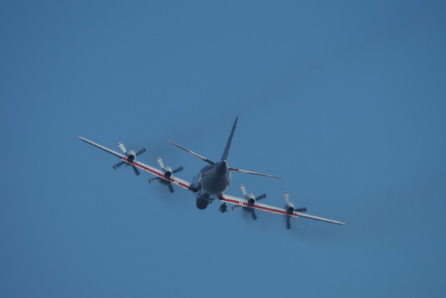 c0306845_1736397.jpg