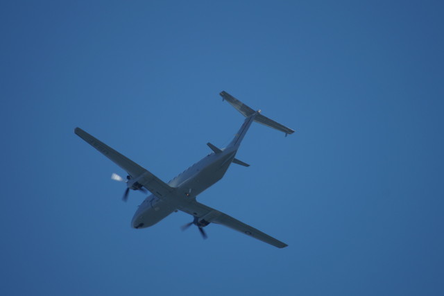 c0306845_1743377.jpg