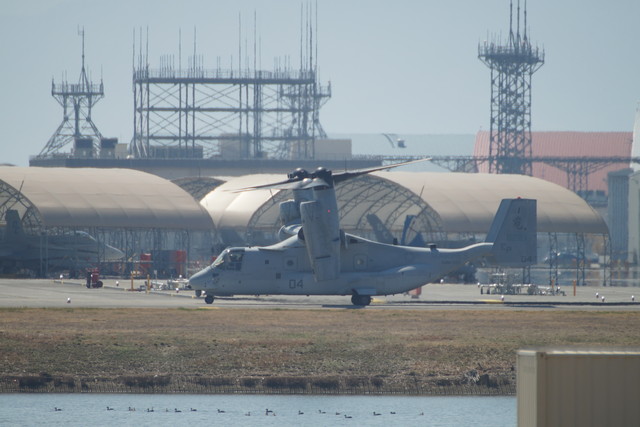 c0306845_1747880.jpg