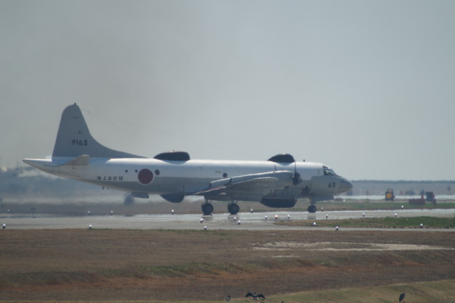 錦帯橋空港に行って見た・続編_c0306845_17595351.jpg