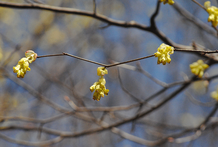 a0001354_19565994.gif