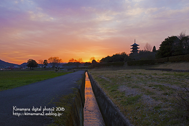 備中国分寺　3/16_f0324756_827311.jpg