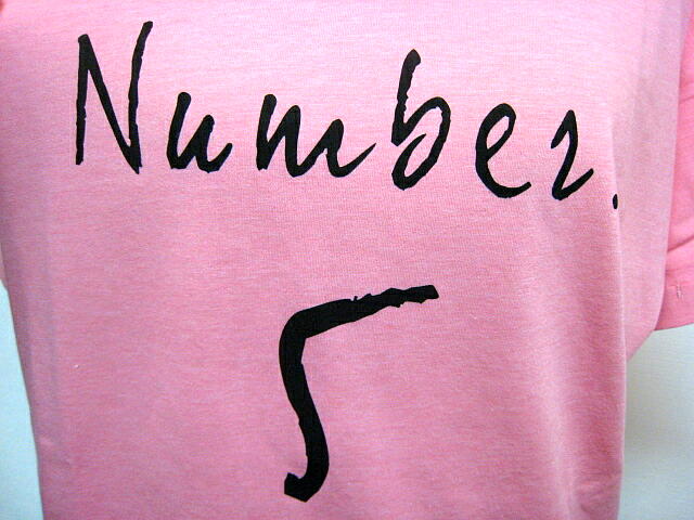 ＢＬＡＮＣ　ｂａｓｑｕｅ （ブランバスク）　Ｎｕｍｂｅｒ５Ｔシャツ　ＰＩＮＫ_a0089359_12175853.jpg