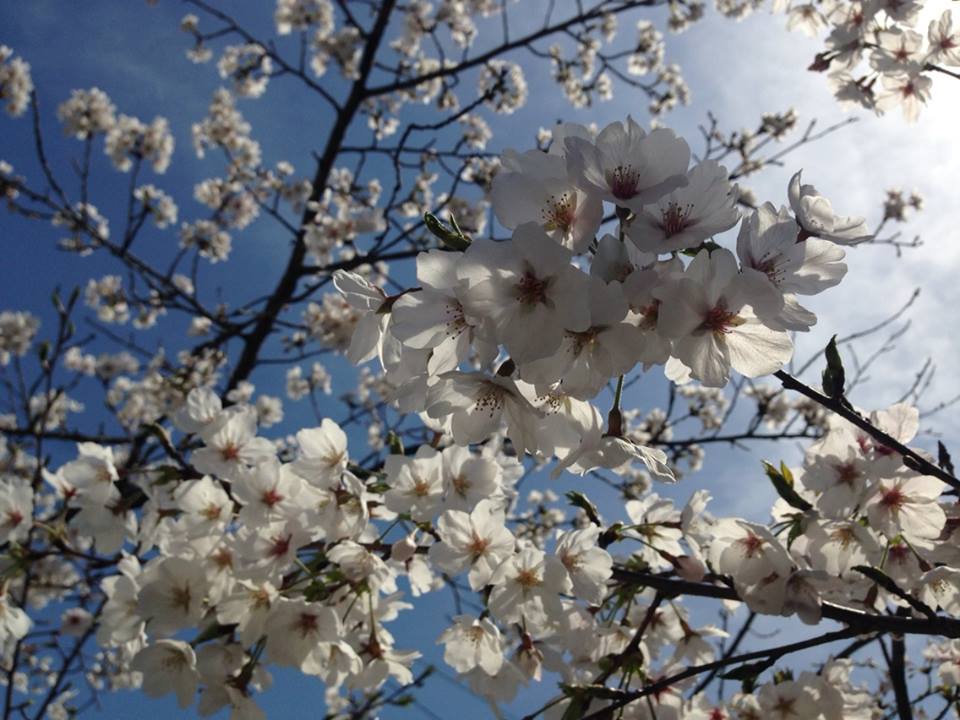 c0115560_10523987.jpg