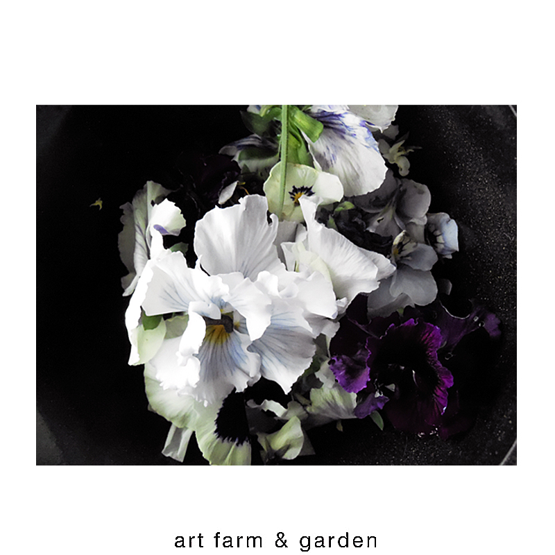 花ガラ摘み/art farm & garden_b0290469_642562.jpg