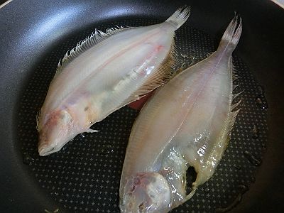 田中冬二先生に「ハイカラ干し鰈カレー」はいかがでしょう 田中冬二先生に「ハイカラ干し鰈カレー」はいかがでしょう