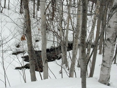 f0083977_20102610.jpg