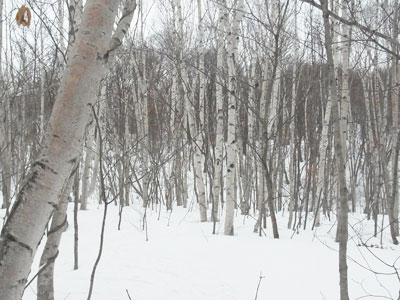 f0083977_201721.jpg