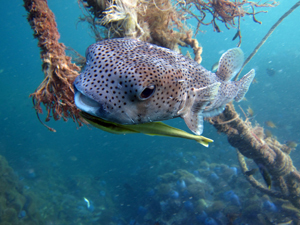 今シーズンも…_f0144385_22362121.jpg