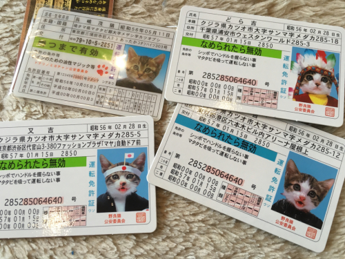 なめ猫免許証が捨てれない Moi手しごと日記 なめ猫免許証が捨てれない Moi手しごと日記
