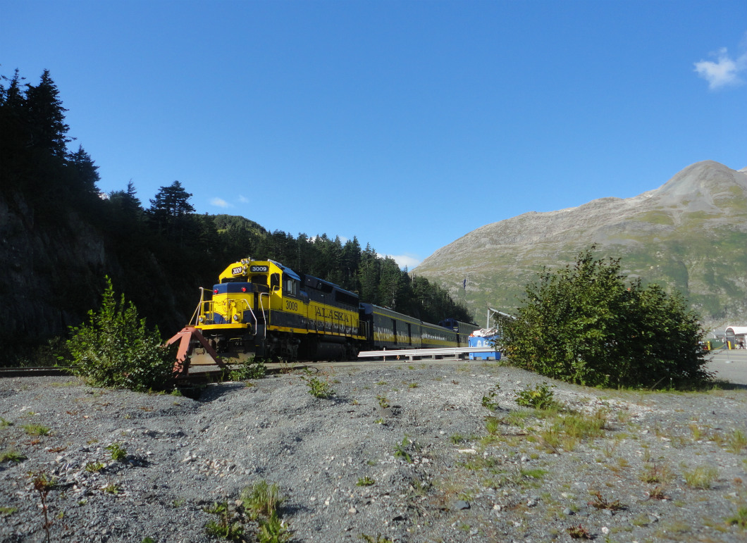 アラスカ遠征記～憧れの「Alaska Railroad」密着!　_e0034987_4302265.jpg