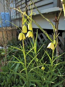 c0117898_21404744.jpg