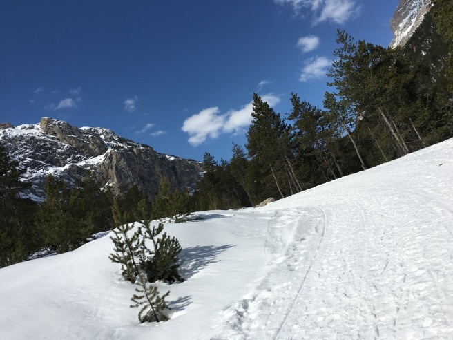 Bardonecchia ☆バルドネッキアで雪山散歩_b0246303_03030669.jpg