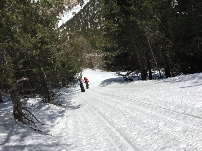 Bardonecchia ☆バルドネッキアで雪山散歩_b0246303_03040409.jpg