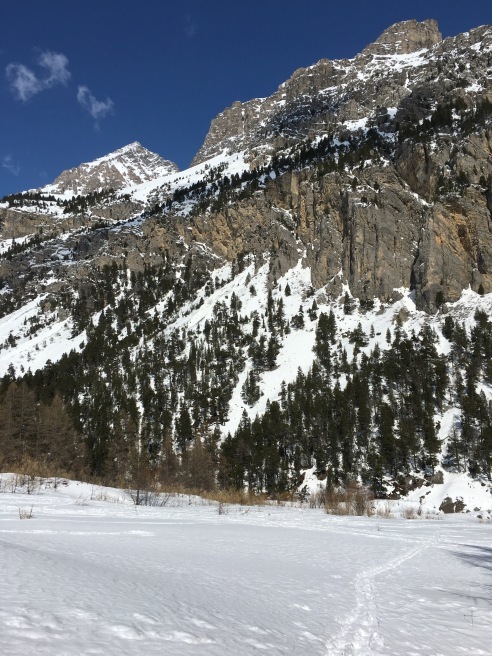 Bardonecchia ☆バルドネッキアで雪山散歩_b0246303_19082320.jpg