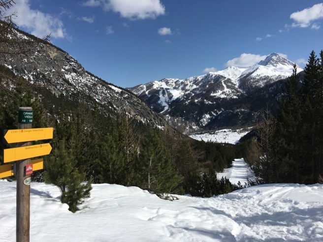 Bardonecchia ☆バルドネッキアで雪山散歩_b0246303_19092666.jpg