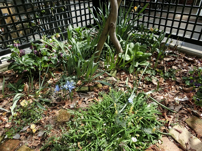 e0234004_18563197.jpg