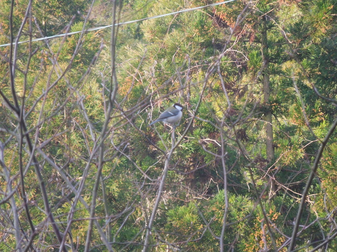 f0297809_232857100.jpg