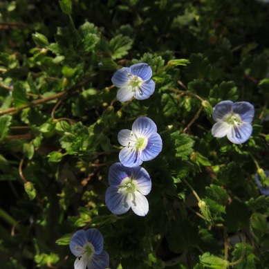 c0097620_20532390.jpg