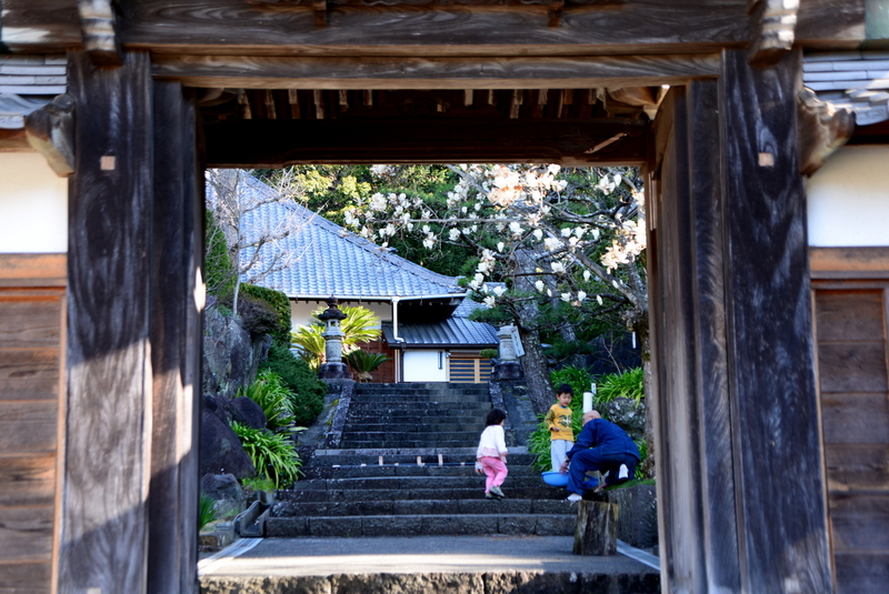 d0072720_84172.jpg