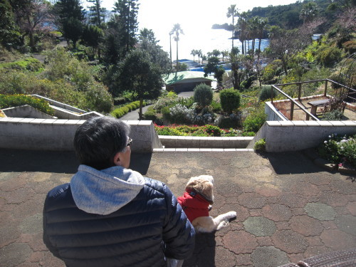 e0350927_16581279.jpg