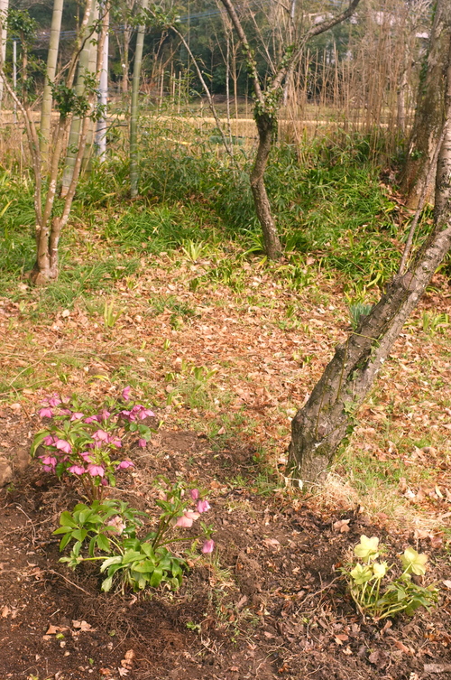 c0308431_228155.jpg