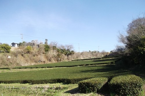 b0137932_1605687.jpg
