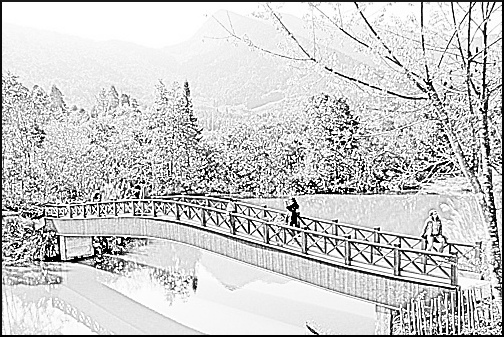 Gimp 画像を水彩画風に 勿 忘 草 Gimp 画像を水彩画風に 勿 忘 草