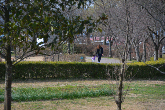 c0093046_872076.gif