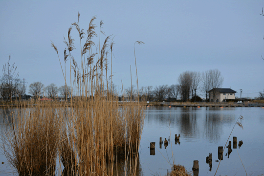c0093046_873617.gif