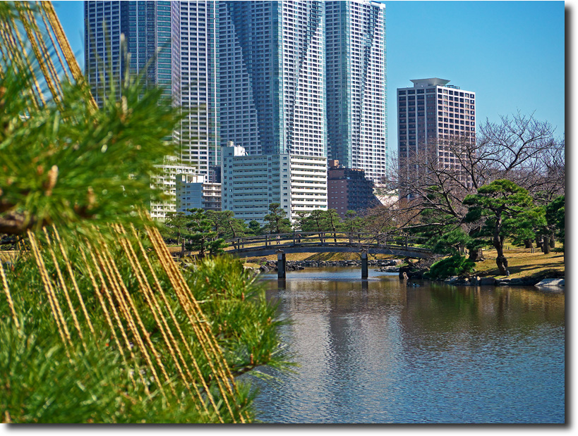 浜離宮恩賜庭園　　　_d0091147_15465296.jpg