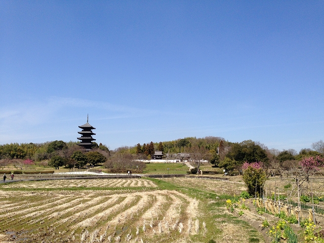 早春の備中国分寺_d0031853_1321517.jpg