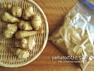 菊芋 - yamatoのひとりごと