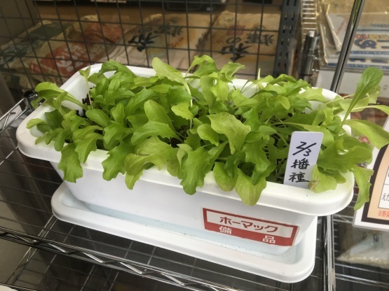 深川わくわく準備中_a0356060_15143180.jpg