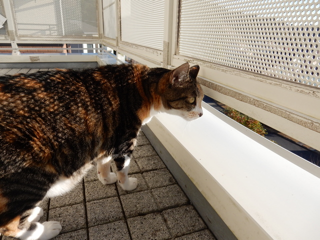 ’16,3,18(金)一人カラオケしてみたよ!_f0060461_11571420.jpg