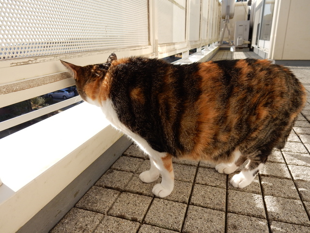’16,3,18(金)一人カラオケしてみたよ!_f0060461_115810100.jpg