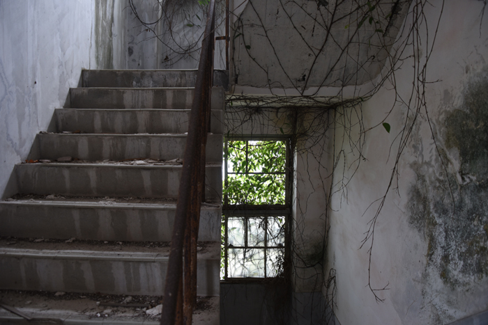 小学校・中学校廃墟写真:愛媛・青島_e0171573_15542784.jpg