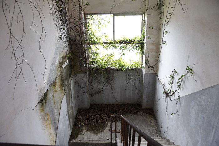 小学校・中学校廃墟写真:愛媛・青島_e0171573_15543350.jpg